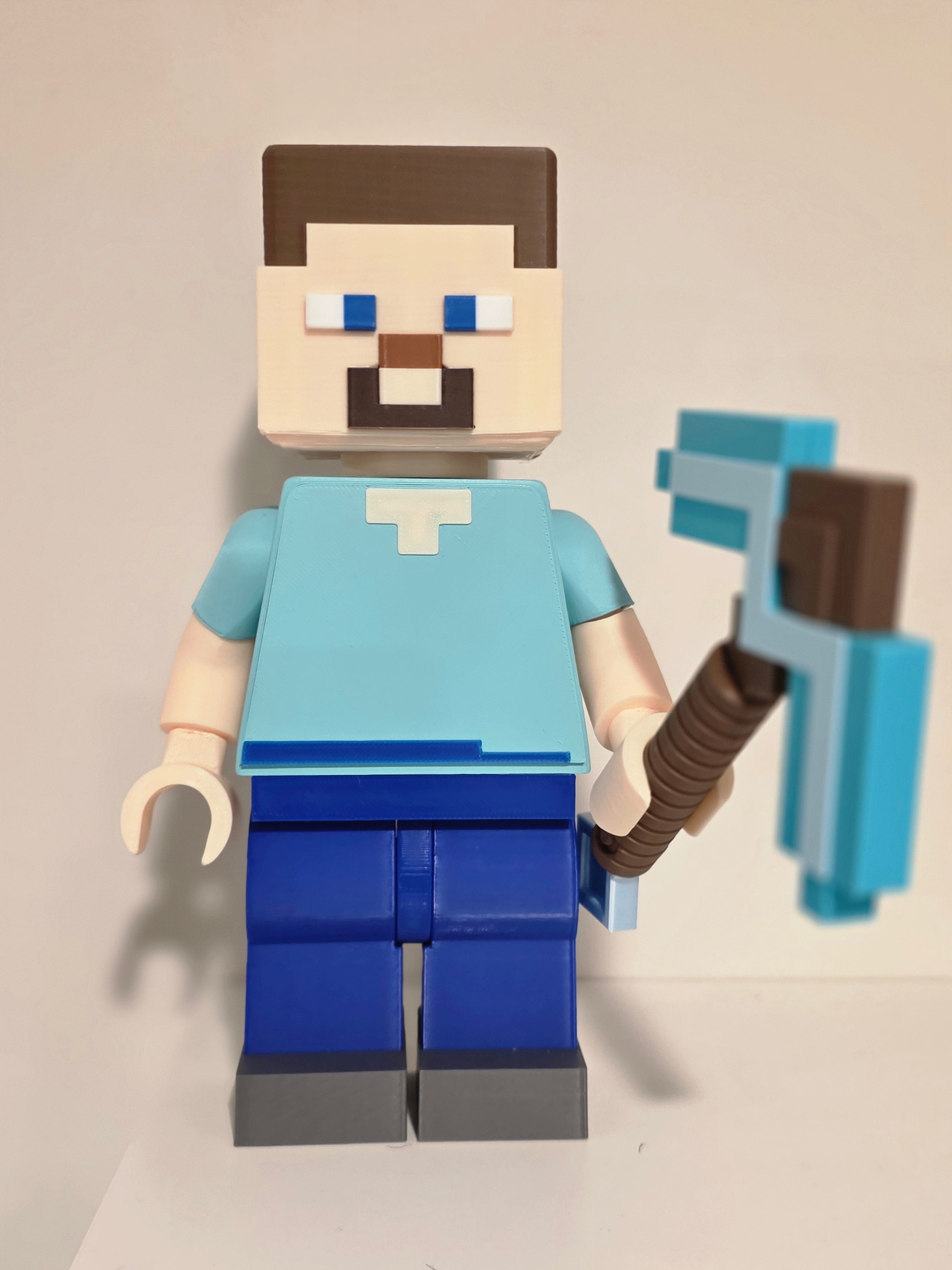 The Blocky Survivor