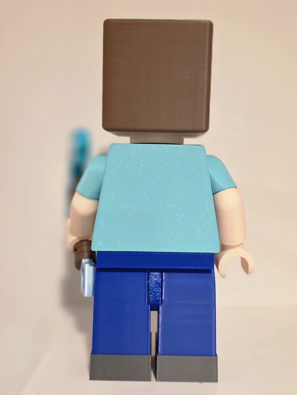 The Blocky Survivor