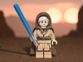 Desert Hermit