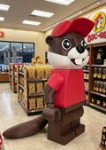 Friendly Beaver